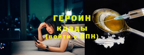 стаф Алексин